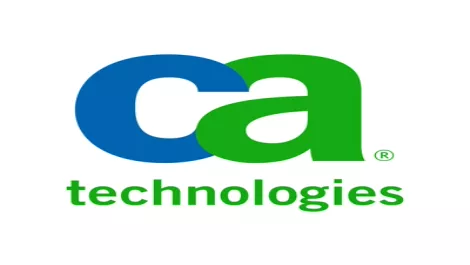 CA partners upbeat about IT spending in 2011