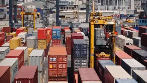 Auckland’s supply chain complications causing problems