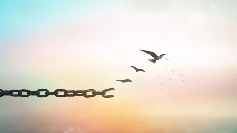 Vodafone: Why disruption is an advantage in business transformation